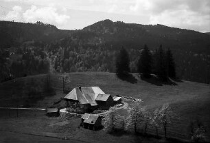 Schwarzwaldhof an der B 31 bei Breitnau von oben