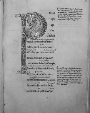 Glossar zu den Paulusbriefen / S. Pauli Epistolæ, cum glossa — Initial P mit Vogelwesen, Folio fol. 83 r