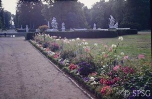 Potsdam, Park Sanssouci, Parterre Große Fontäne, Rabatte.