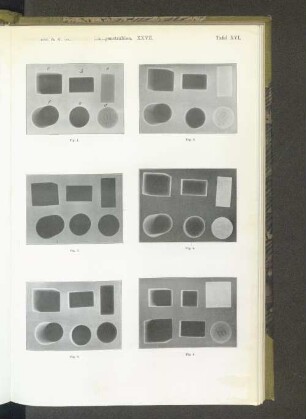 Tafel XVI.