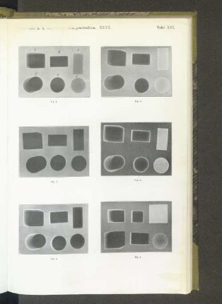Tafel XVI.
