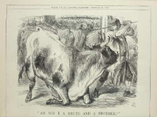 "Am not I a brute and a brother?"