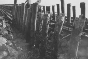 Minsener Oog/Nordsee