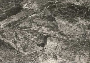 Garbenschiefer. Aufschluß im Söllichau-Tal nordwestlich Wechselburg
