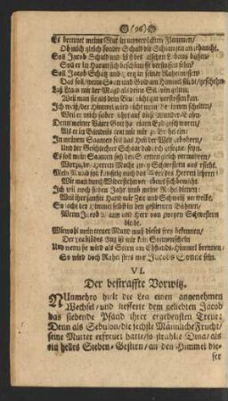 VI. Der bestraffte Vorwitz