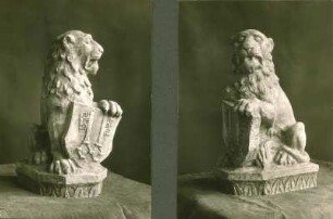 Löwe, D. Rumpf