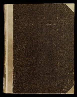 Regelbuch aus dem Niedermünster in Regensburg - Staatsbibliothek Bamberg Msc.Lit.142