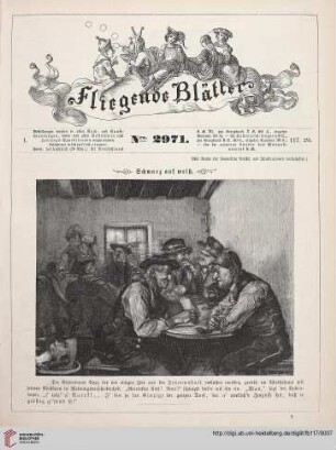 Nr. 2971