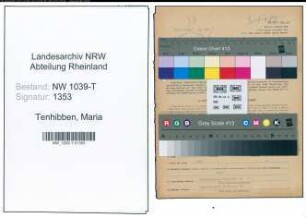 Entnazifizierung Maria Tenhibben , geb. 15.07.1921 (Stenotypistin)