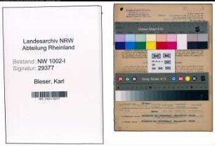 Entnazifizierung Karl Bleser, geb. 11.07.1901 (Ingenieur)