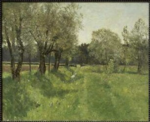 Weiden vor Tannenwald