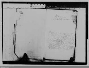 Anspruch des Marquis von Westerloo auf Allodialgüter in Nassau-Hadamar