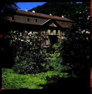 Freiburg, Ebnet: Schloss, Vordergrund Rhododendron