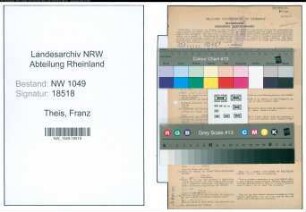 Entnazifizierung Franz Theis , geb. 04.03.1889 (Ingenieur)