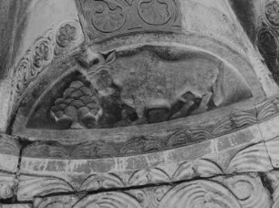 Ein Stier