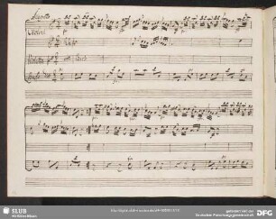 Allegretto
