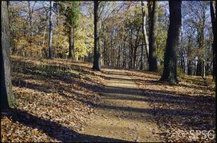 Potsdam, Park Sanssouci, Ruinenberg, Parkansicht.