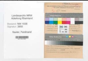 Entnazifizierung Ferdinand Sauter , geb. 08.03.1904 (Kaufmann)