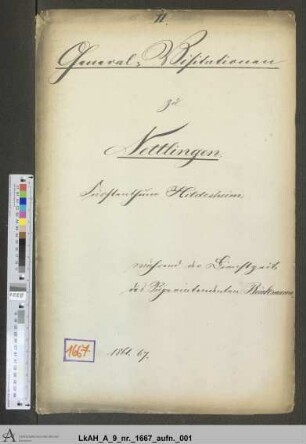 Nettlingen: Visitationsakten