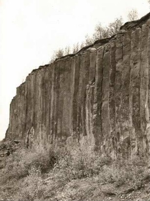 Erzgebirge. Scheibenberg (807 m). Basaltsäulen, sogenannte Orgelpfeiffen. Naturdenkmal