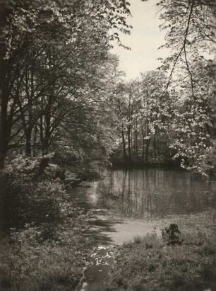 Dresden, Schloß Albrechtsberg. Schloßteich