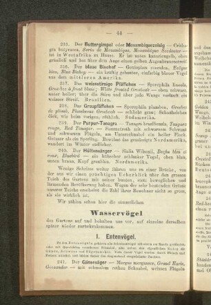Wasservögel