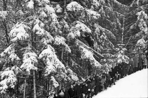 Hinterzarten: Springer