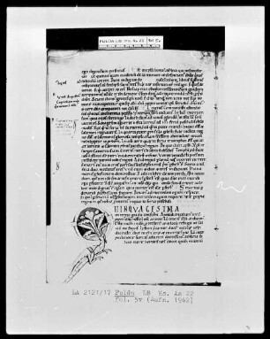 Amalarius Metensis, Liber officialis — Initiale Q (uinquagesima), der Strich in Gestalt eines Drachen, Folio 5verso