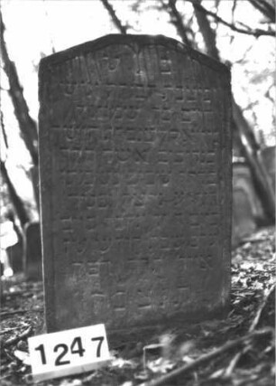 Grabstein 1247 (Index: 99900052) Material: Sandstein Zustand: angewittert Maße HxBxT: 90x57x10 cm Beschreibung: Stele mit abgeflachtem Segmentbogenabschluss: Grabstein 1247