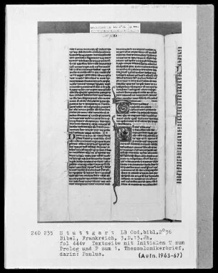 Bibel — Initiale P (aulus), darin der Apostel Paulus, Folio 444verso