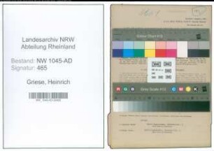 Entnazifizierung Heinrich Griese , geb. 22.10.1886 (Arbeiter)