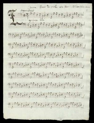 Basso de Viola