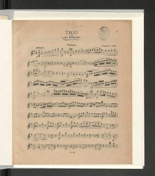 Violine.