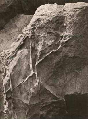 Zittauer Gebirge. Sandstein mit Quarzadern (treten infolge ihrer Widerstandsfähigkeit gegen Verwitterung hervor, Sandsteinklippe westlich der Lausche)