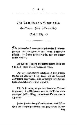 ¬Die¬ Turteltaube, Wegetaube : (Lat. Turtur ; Franz. la Tourterelle) ; (Taf. I, Fig. 2)