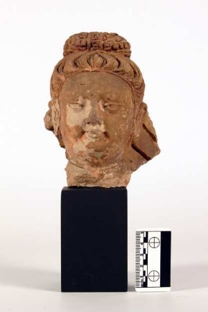 Bodhisattva