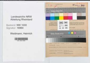 Entnazifizierung Heinrich Weidmann, geb. 11.06.1894 (Angest.)