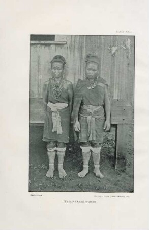 Plate XXII. Yimbao Karen women