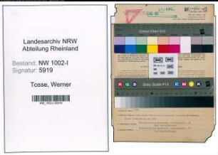 Entnazifizierung Werner Tosse, geb. 31.03.1895 (Kaufmann)