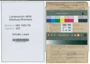 Entnazifizierung Liesel Schulte , geb. 30.07.1905 (Kontoristin)