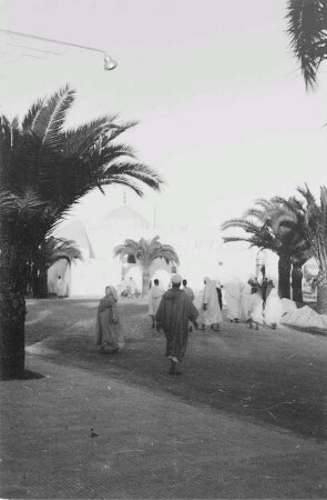Reisefotos Marokko. Straßenbild mit Palmen. Im Hintergrund eine Moschee?