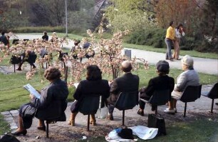Freiburg: Sitzreihe vor Blütenbaum im Stadtgarten