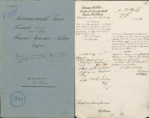 Herstellung und Unterhaltung des Oppenauer Wegs vom Obertal über die Glashütte durch den Staatswald Buhlbach
