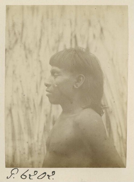 Apurinã Indians (Ipuriná)