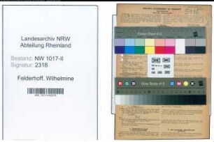 Entnazifizierung Wilhelmine Felderhoff , geb. 28.08.1909 (Bueglerin)