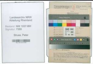 Entnazifizierung Peter Struss , geb. 21.06.1899 (Schlosser)