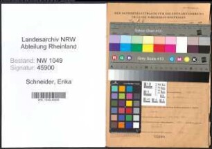 Entnazifizierung Erika Schneider , geb. 23.05.1901 (Apothekerin)