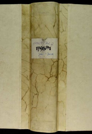Ratsprotokolle, 1795 5. Jan. - 23. Juli