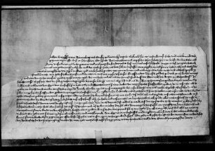 Burggräfin Elisabeth vermacht Christoph und Bartelmes von Wenkheim für die Dienste ihrer Schwester Walpurga 600 fl. von den 10 000 fl. ihrer Morgengabe auf Schorndorf.