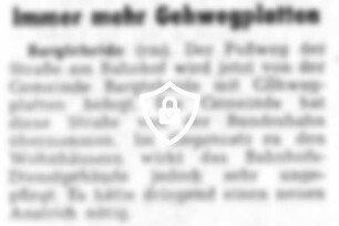 [Name maskiert] Gehwegplatten